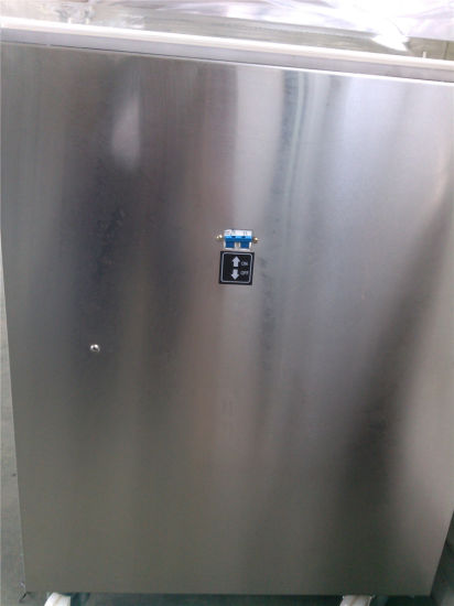 Empaquetador de vacío para envasado al vacío (GRT-DZ600B)